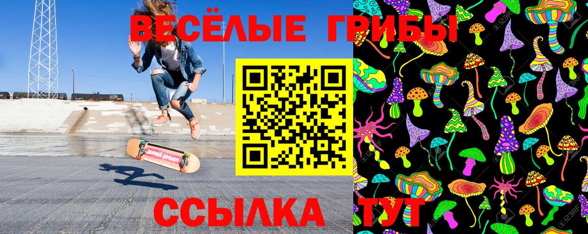 Вязьма  Псилоцибиновые грибы мухоморы  Вход с VPN 