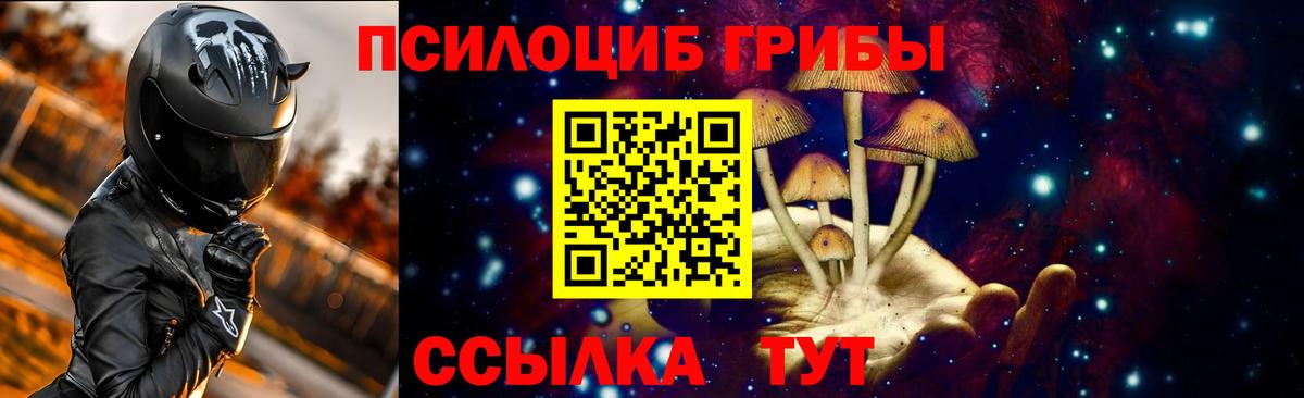Псилоцибиновые грибы Psilocybine cubensis Вязьма