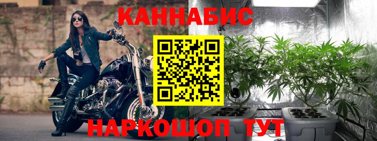 МАРИХУАНА MAZAR  Вход с VPN  Канабис LSD WEED  Вязьма  Канабис LSD WEED 